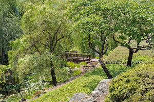  Photo 40