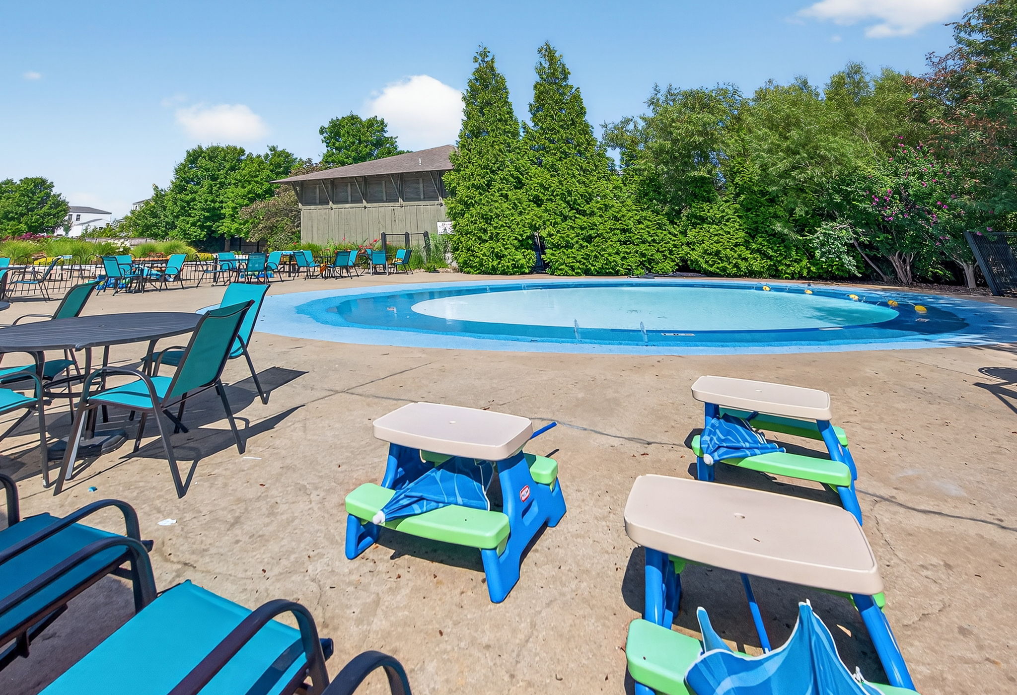  Photo 59