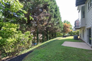  Photo 48