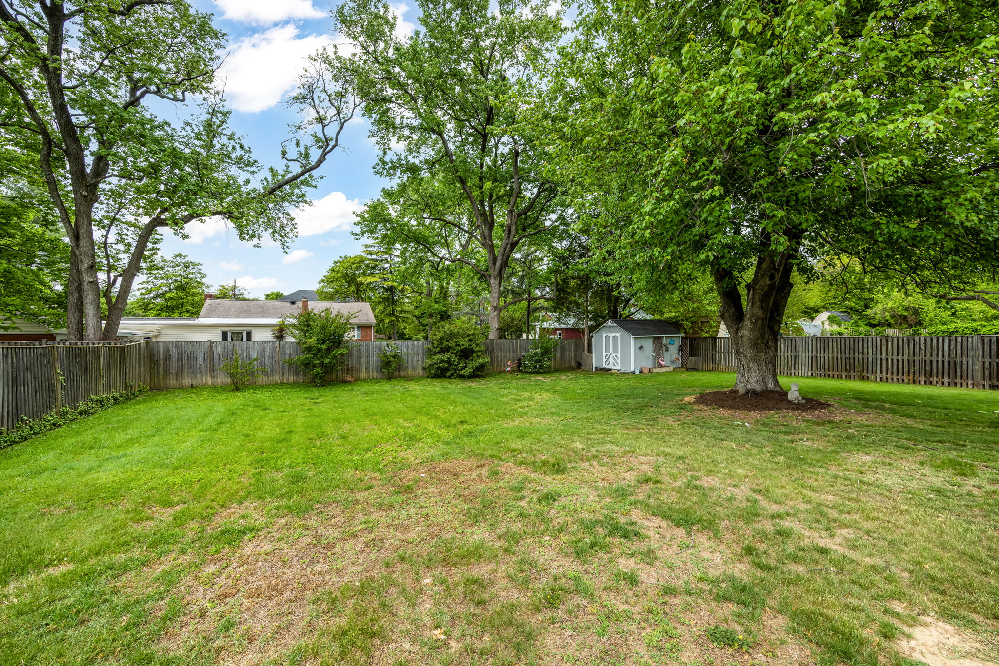 Large Fenced Backyard