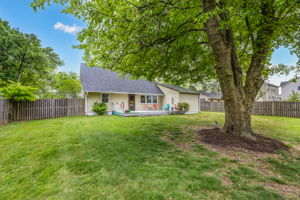 Large Fenced Backyard