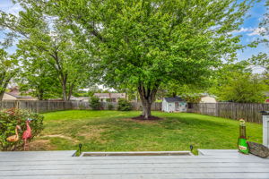 Large Fenced Backyard with Deck