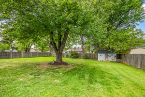 Large Fenced Backyard