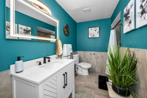 Lower Level Bathroom3a