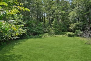 Dorris Rd-L2307-102.jpg