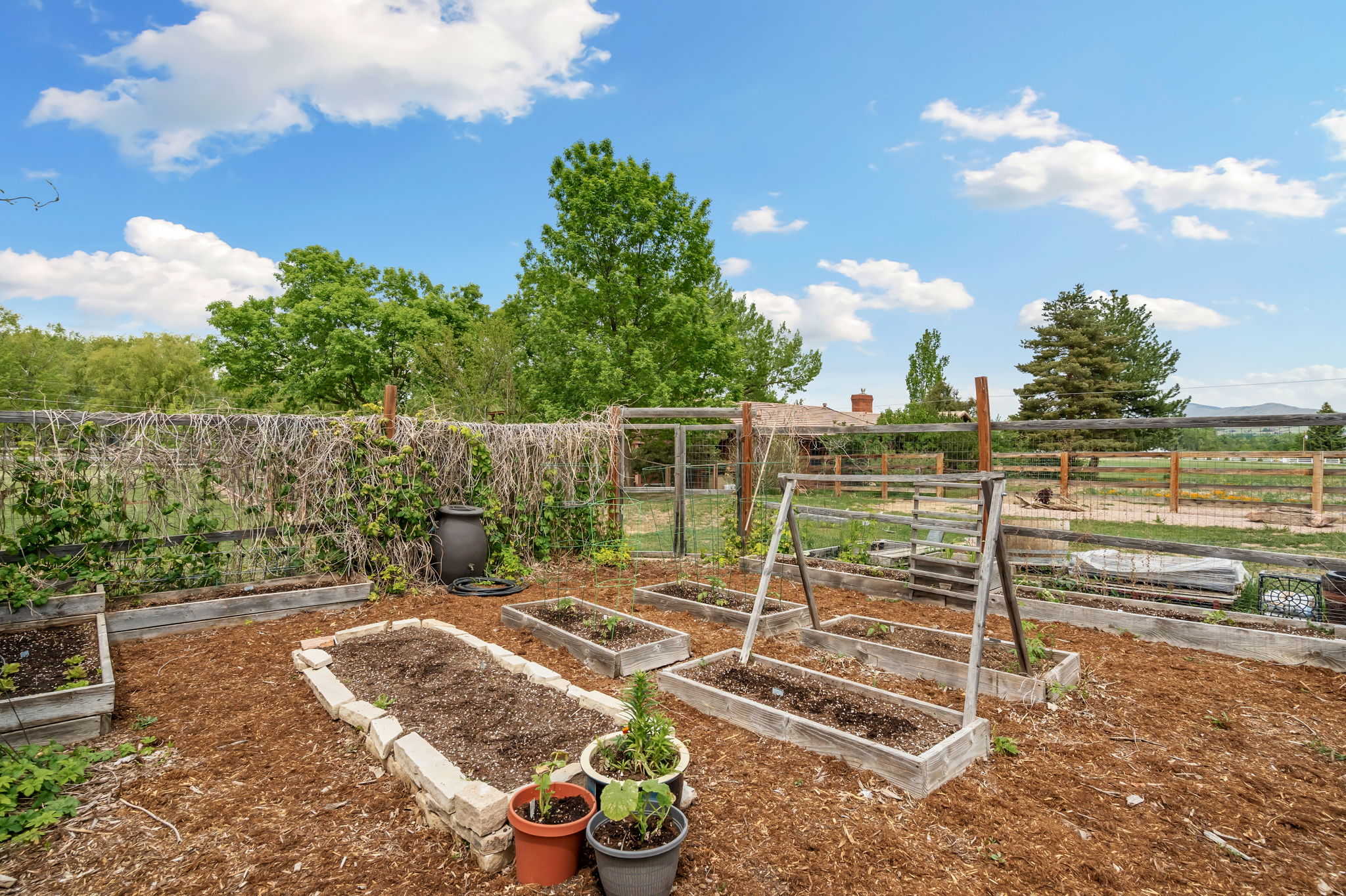 6012 Long Branch Ct, Loveland, CO 80537, USA Photo 74