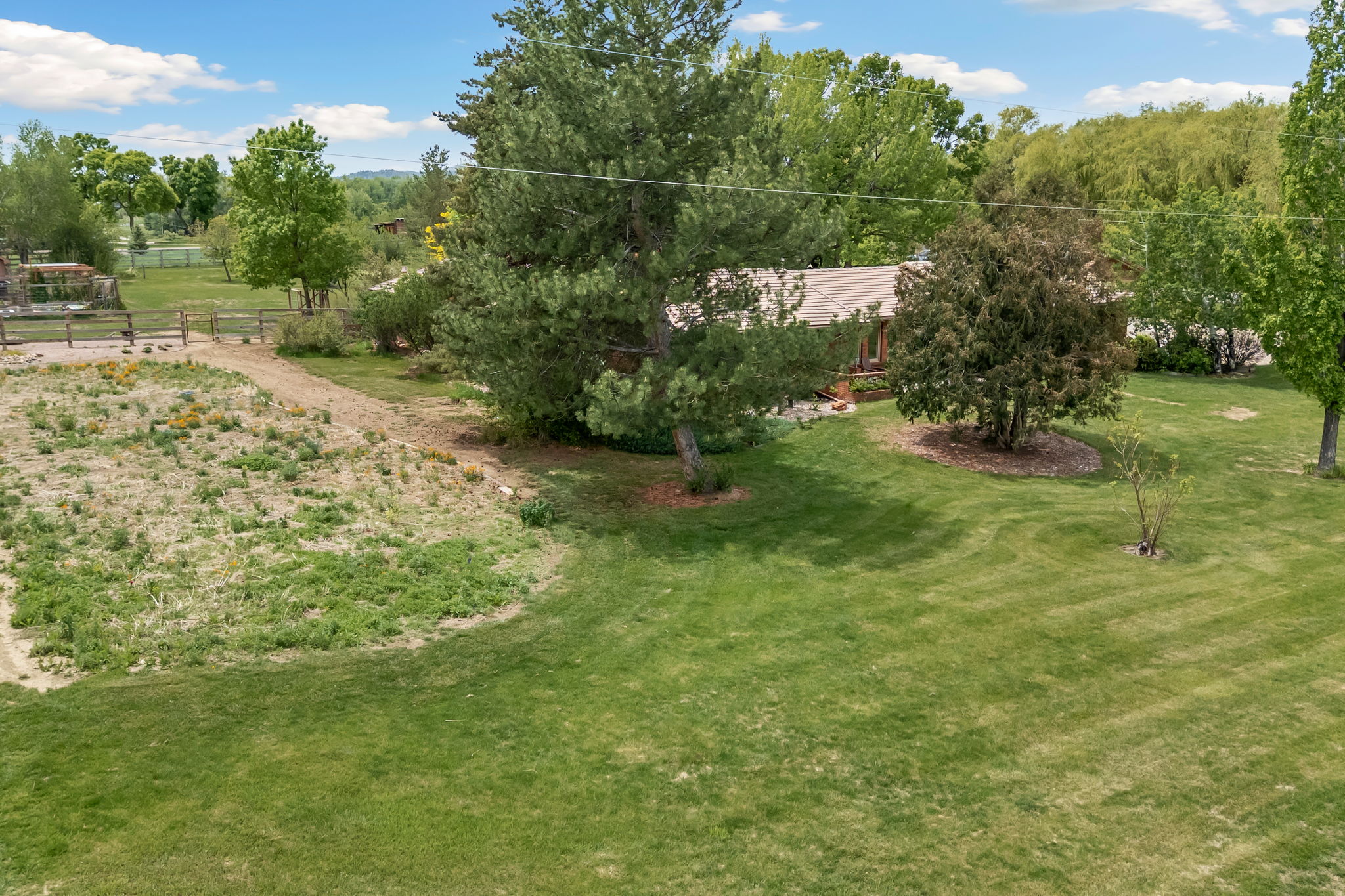 6012 Long Branch Ct, Loveland, CO 80537, USA Photo 83