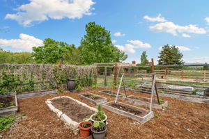 6012 Long Branch Ct, Loveland, CO 80537, USA Photo 73