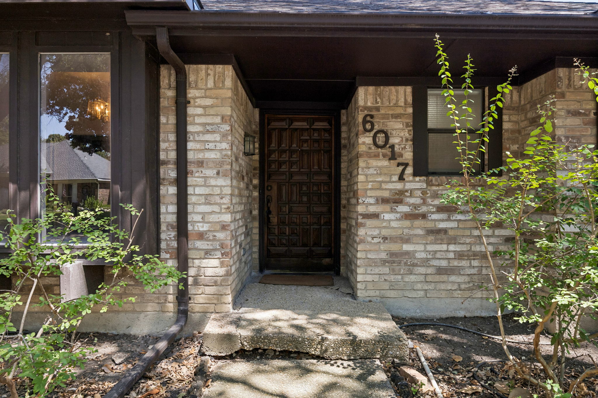 6017Timber_001