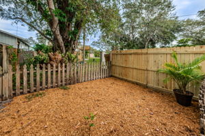 Backyard7