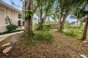 Backyard4