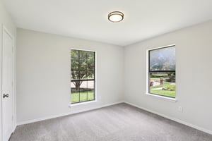 Buttercup Cir-2006-017.jpg