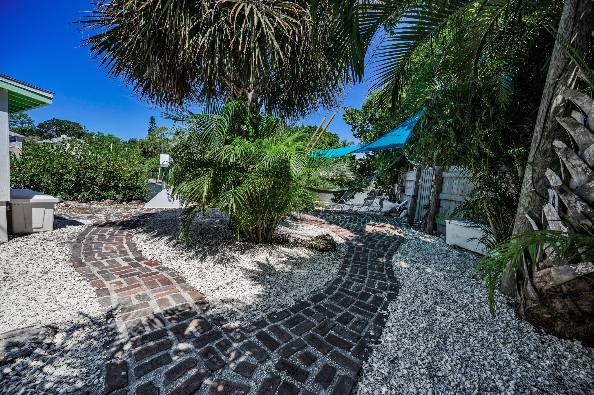 Backyard1