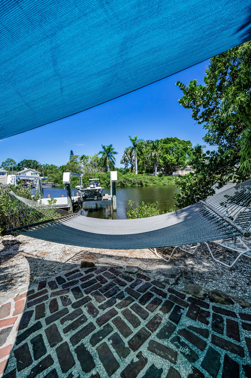 Backyard2