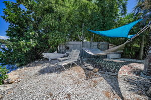 Backyard7