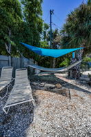 Backyard8