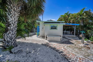 Backyard10