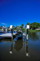 Dock1b