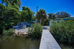 Dock1l