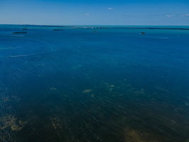 Crystal Beach108