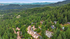  Photo 61