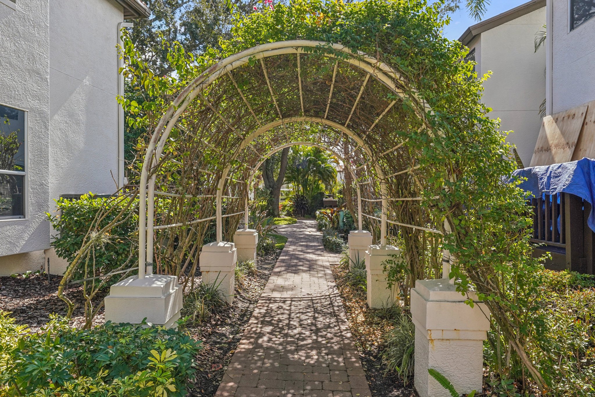 Seabreeze Ct-1202-901.jpg