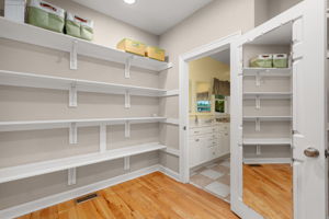 6021-Martins-Point-BR1-Closet-V2