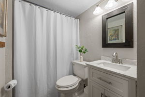 Lower Level Bathroom