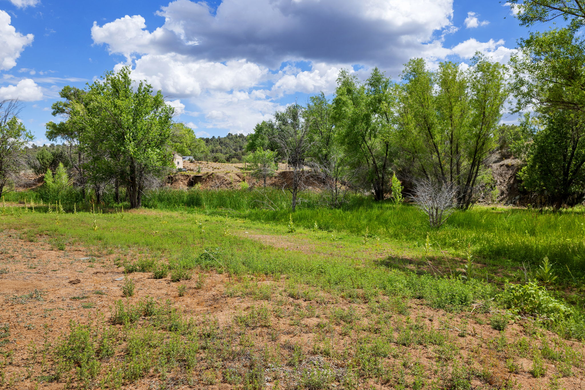 Creek View