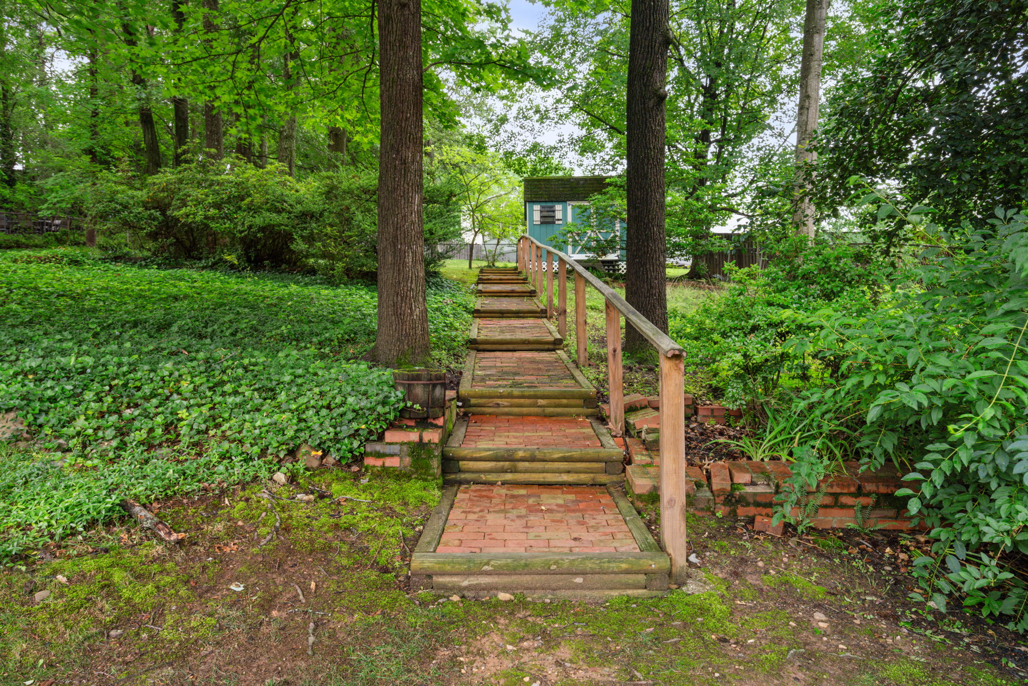  Photo 41
