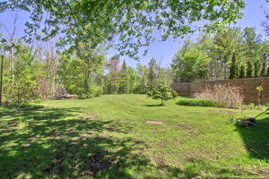  Photo 49