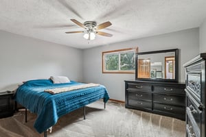 Dollar Hide S Dr-S1410-019.jpg