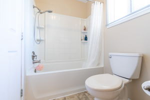  Photo 48