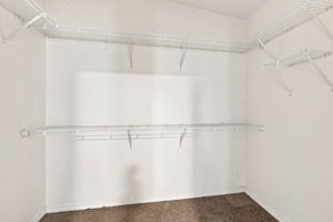Upper Level Primary Bedroom Walk-in Closet