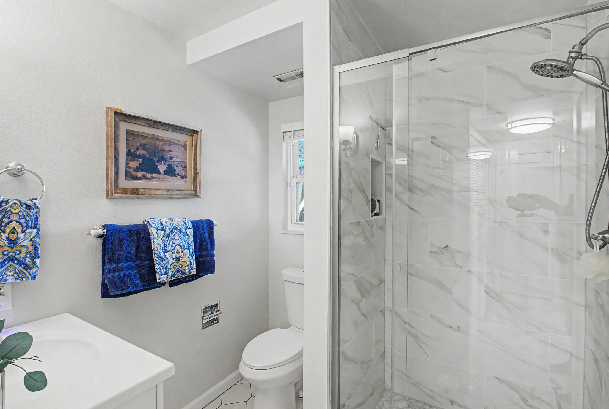 Lower Level Bathroom (Gorgeous Finishes!)