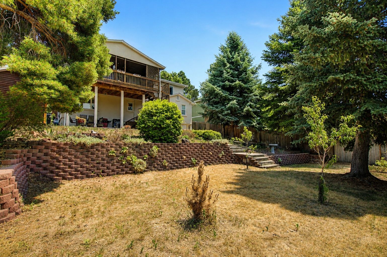 Huge Yard