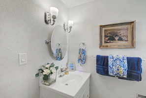 Lower Level Bathroom