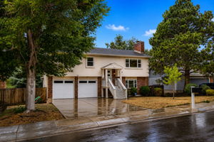 Large driveway (3.5 car tandem garage)