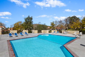 31-Camarillo Springs Community Swimming Pool