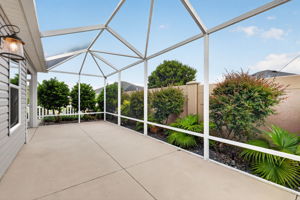 EXPANSIVE Front Birdcage