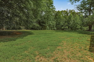 53-Backyard