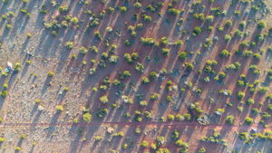 Aerial
