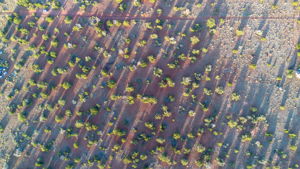 Aerial