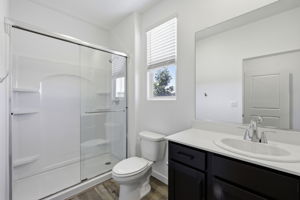  Photo 41