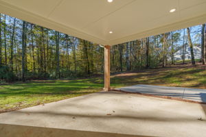 Back Patio