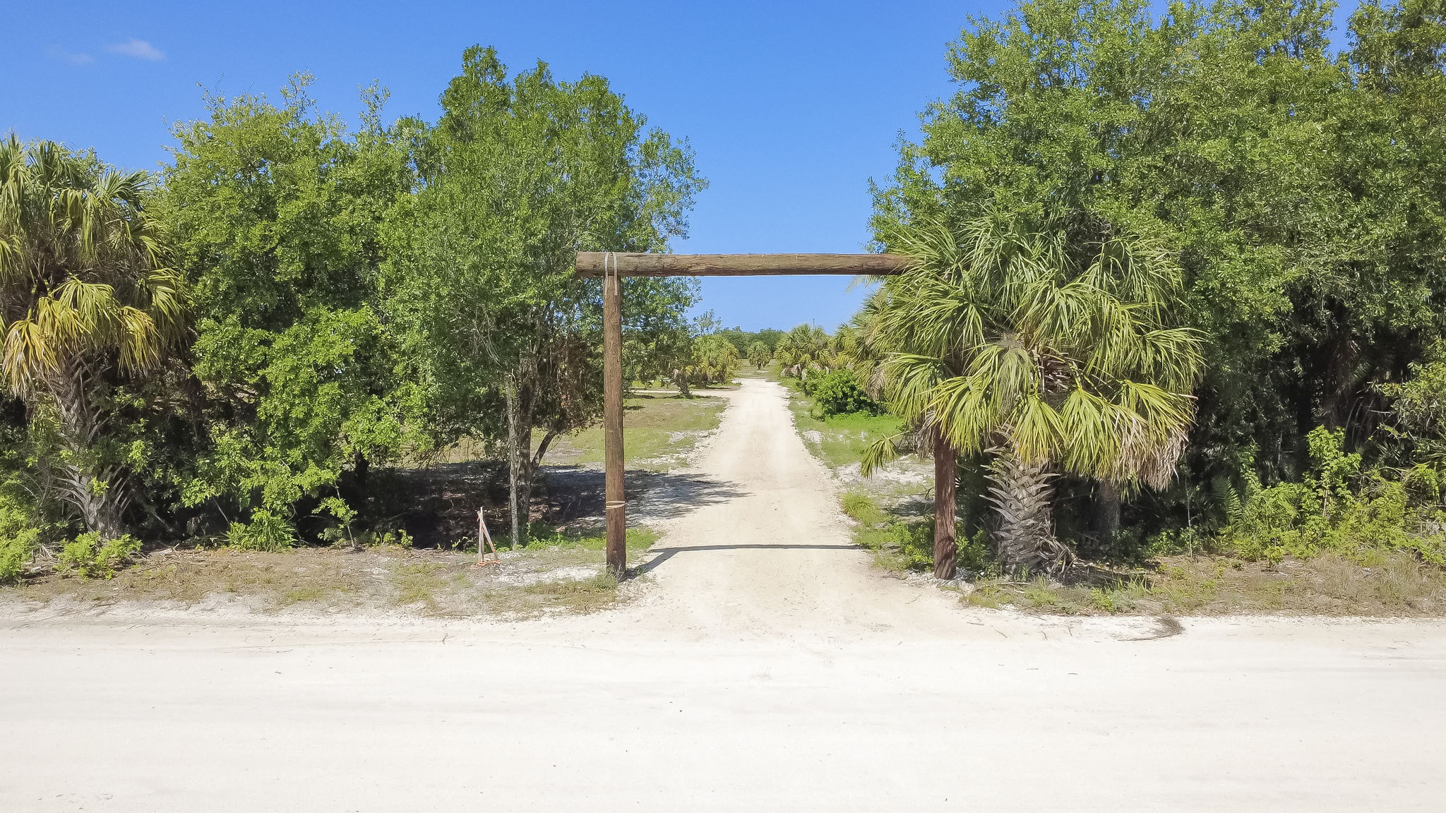 Street-level entrance view featuring the private gated access and mature natural vegetation bordering the property line.
