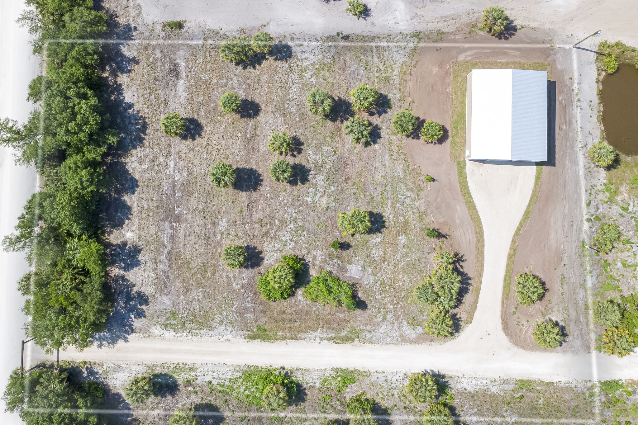 Vertical top-down aerial of the entire parcel showing property boundaries, the building's footprint, and the surrounding tree line.