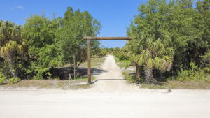 Street-level entrance view featuring the private gated access and mature natural vegetation bordering the property line.
