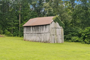  Photo 30
