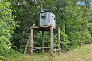  Photo 44